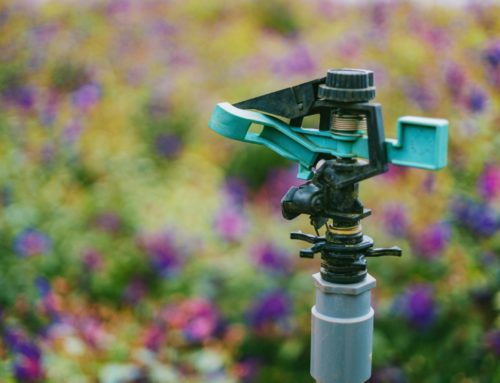 Los mejores sistemas de riego para mantener tu jardín en verano