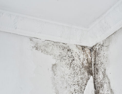 Humedad en el techo del baño: causas más comunes y soluciones